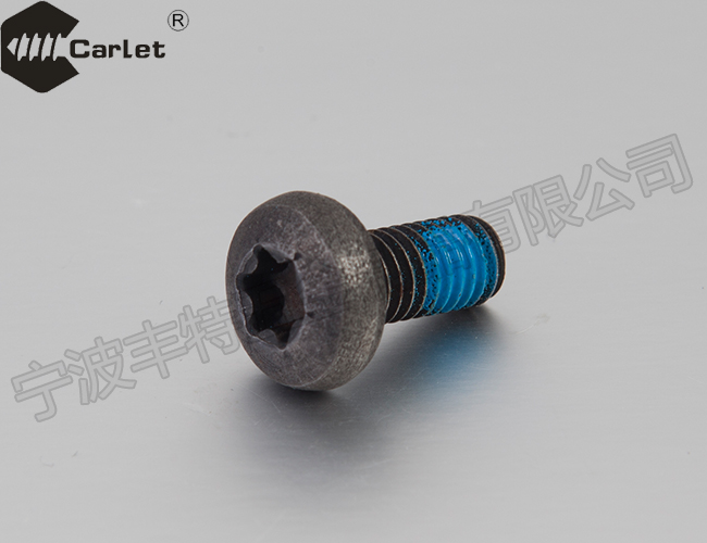 内六角花形盘头螺钉（GBT2672-2000） T25 点胶